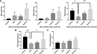 Supplementation of Diet With Different n-3/n-6 PUFA Ratios Ameliorates Autistic Behavior, Reduces Serotonin, and Improves Intestinal Barrier Impairments in a Valproic Acid Rat Model of Autism